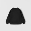 Clearance * Zara Raglan Sleeve Seamed Sweatshirt