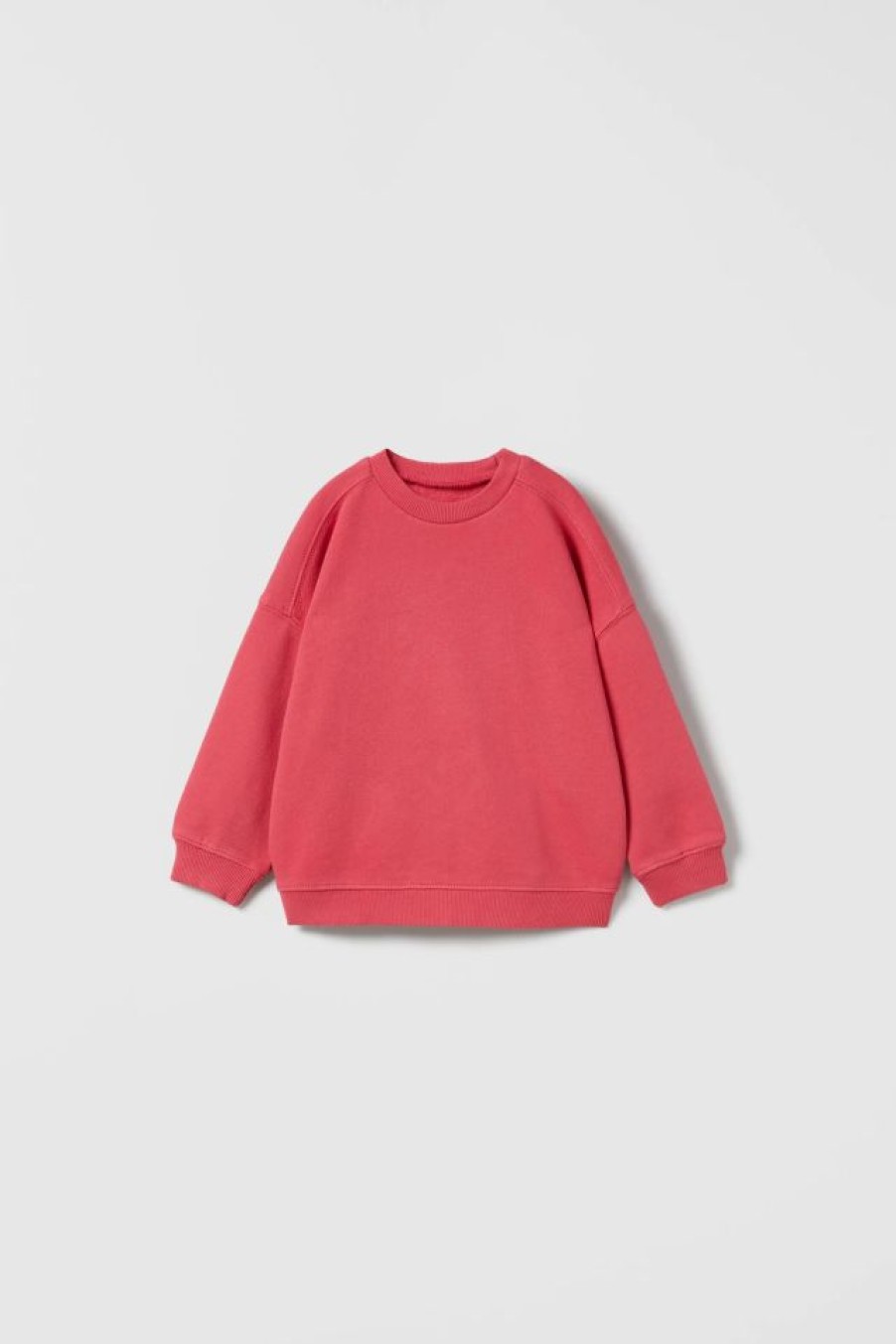 Hot * Zara Plain Sweatshirt